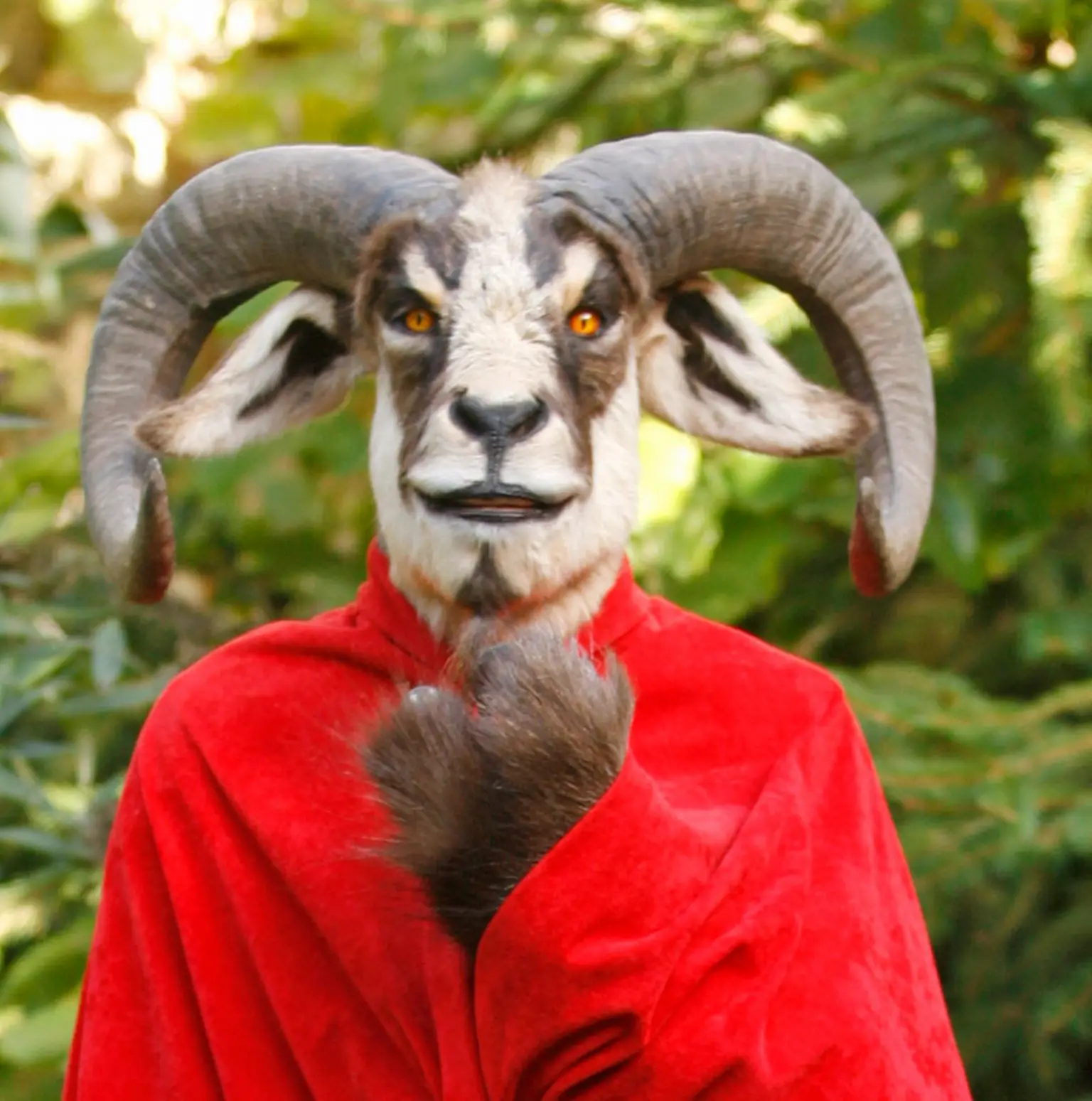 Morgod : DEEBEE Morgod : DEEBEE