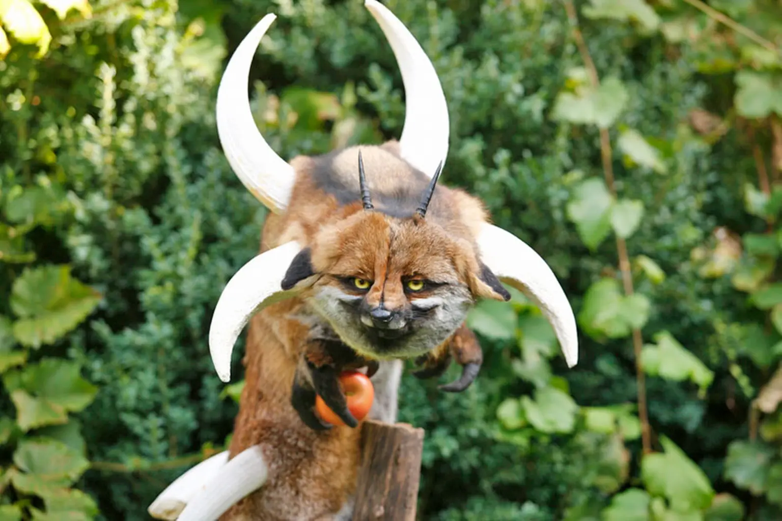 Morgod : KRYSCHIC Morgod : KRYSCHIC